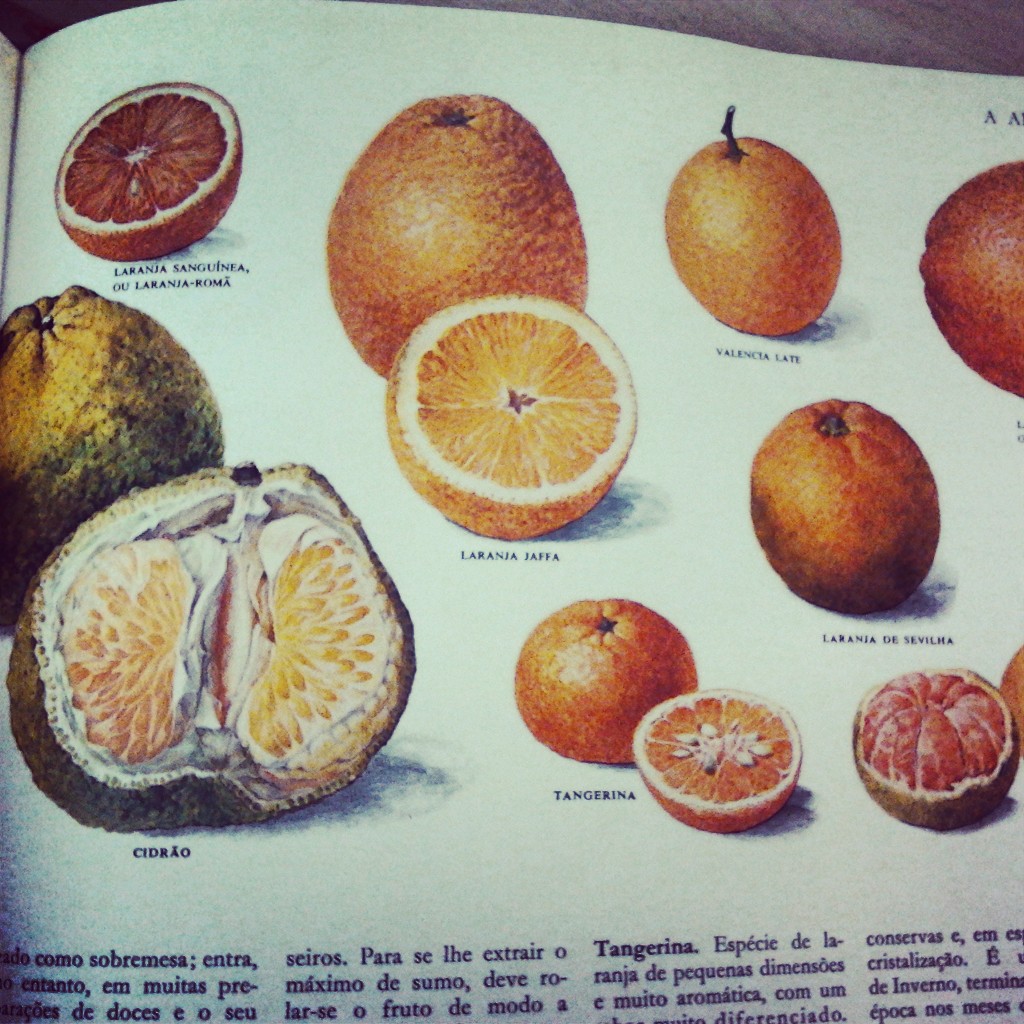 tangerina